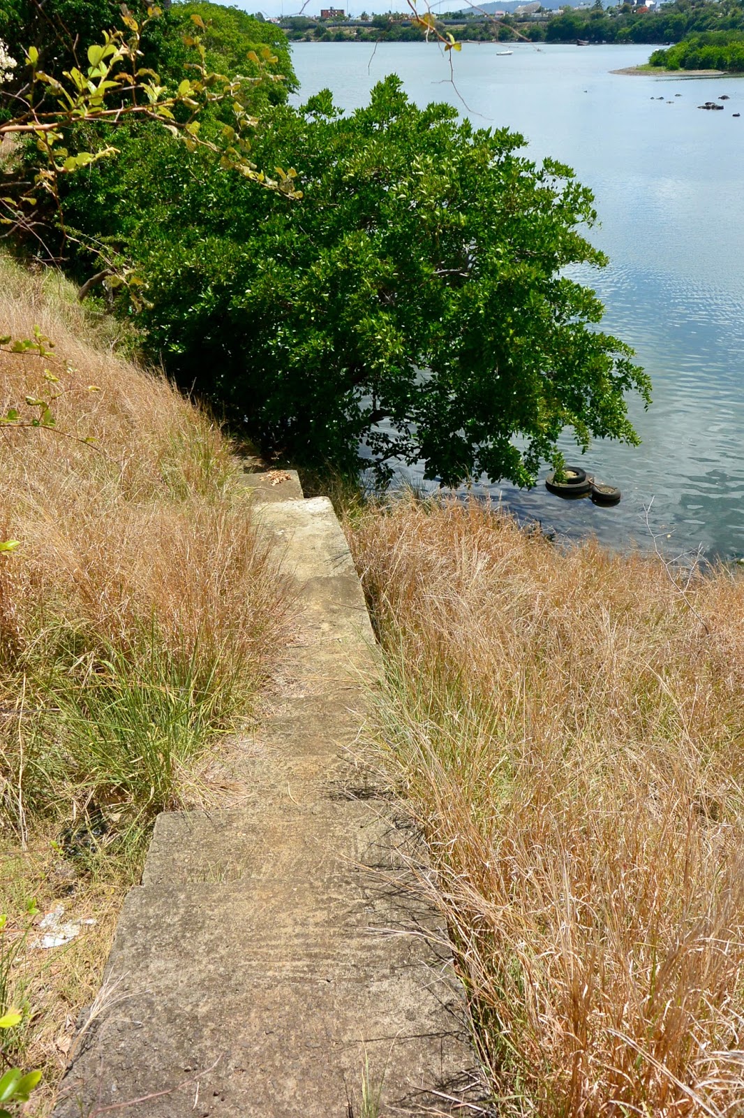 Randonnées le long de la côte Ile Maurice ETAPE 4 PORT LOUIS