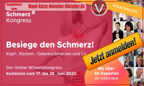 Roberts Blog Gelegentliche Bemerkungen Zu Und In Lingen Ems