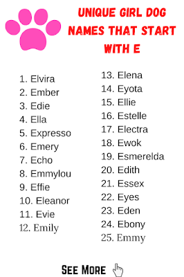 Unique Girl Dog Names That Start with E