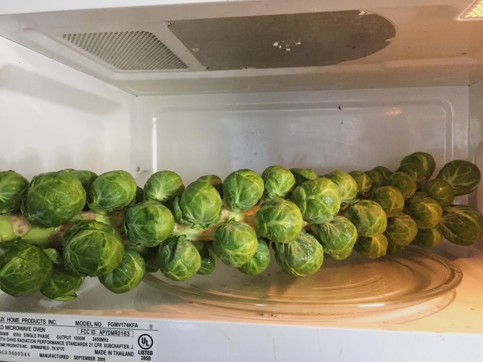 Trader Joe's Brussels Sprouts Stalk Roasted on the Stalk