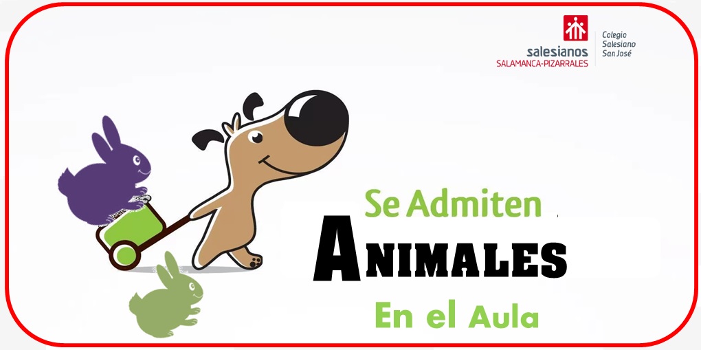 NUESTRAS MASCOTAS