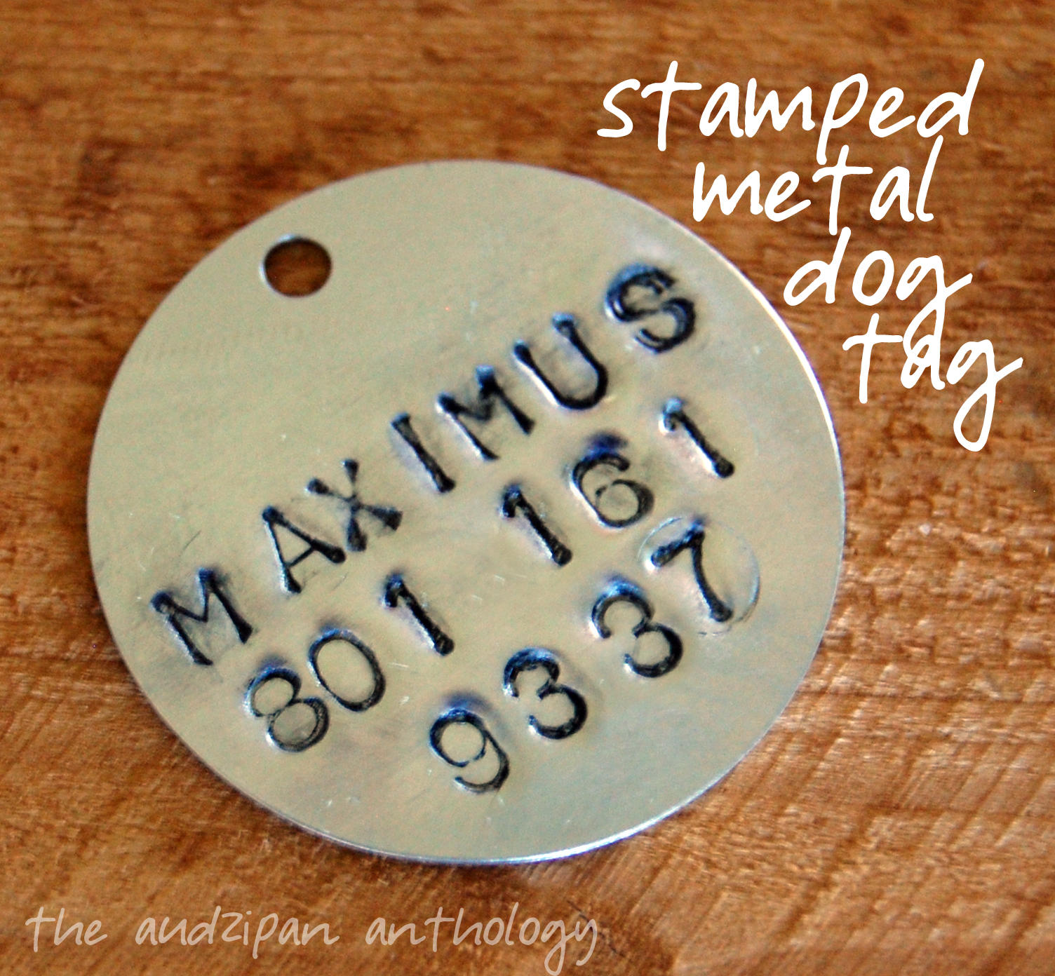 the audzipan anthology Stamped Metal Dog Tag