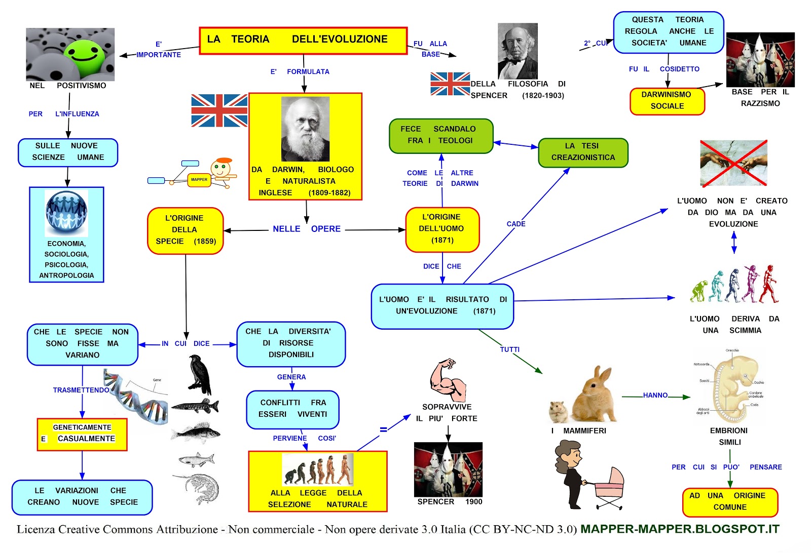 Mappa Concettuale Darwin Teoria Dell Evoluzione Scuolissima Com