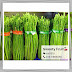 Fresh locally grown asparagus now in Miri City