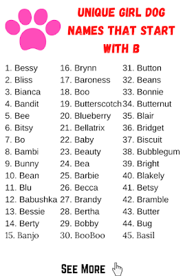 Unique Girl Dog Names That Start with B