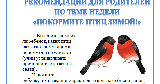 Календарно тематическое планирование зимующие птицы. Календарно тематическое планирование зимующие птицы