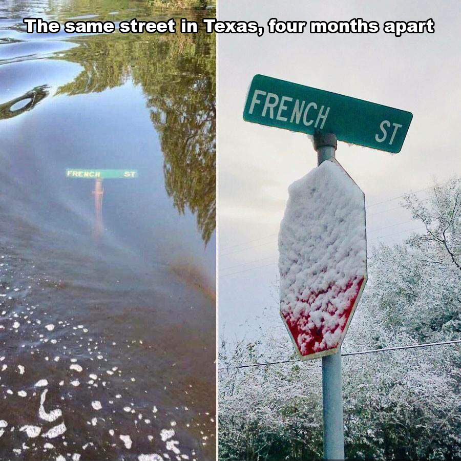 Random Pics and Memes to Improve Your Mood (39 Pics) | 9GIG