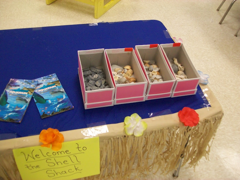 Cozy Kindergarten: Ocean Exploration Room
