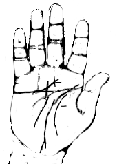 Criminal Hand Sketch