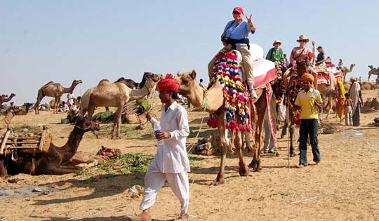 The Desert, Taj & Wildlife Safari ,Palace on wheels
