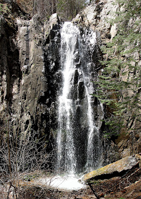 Blogging from the Boot Heel: Falling Waters in the Chiricahua Mountains