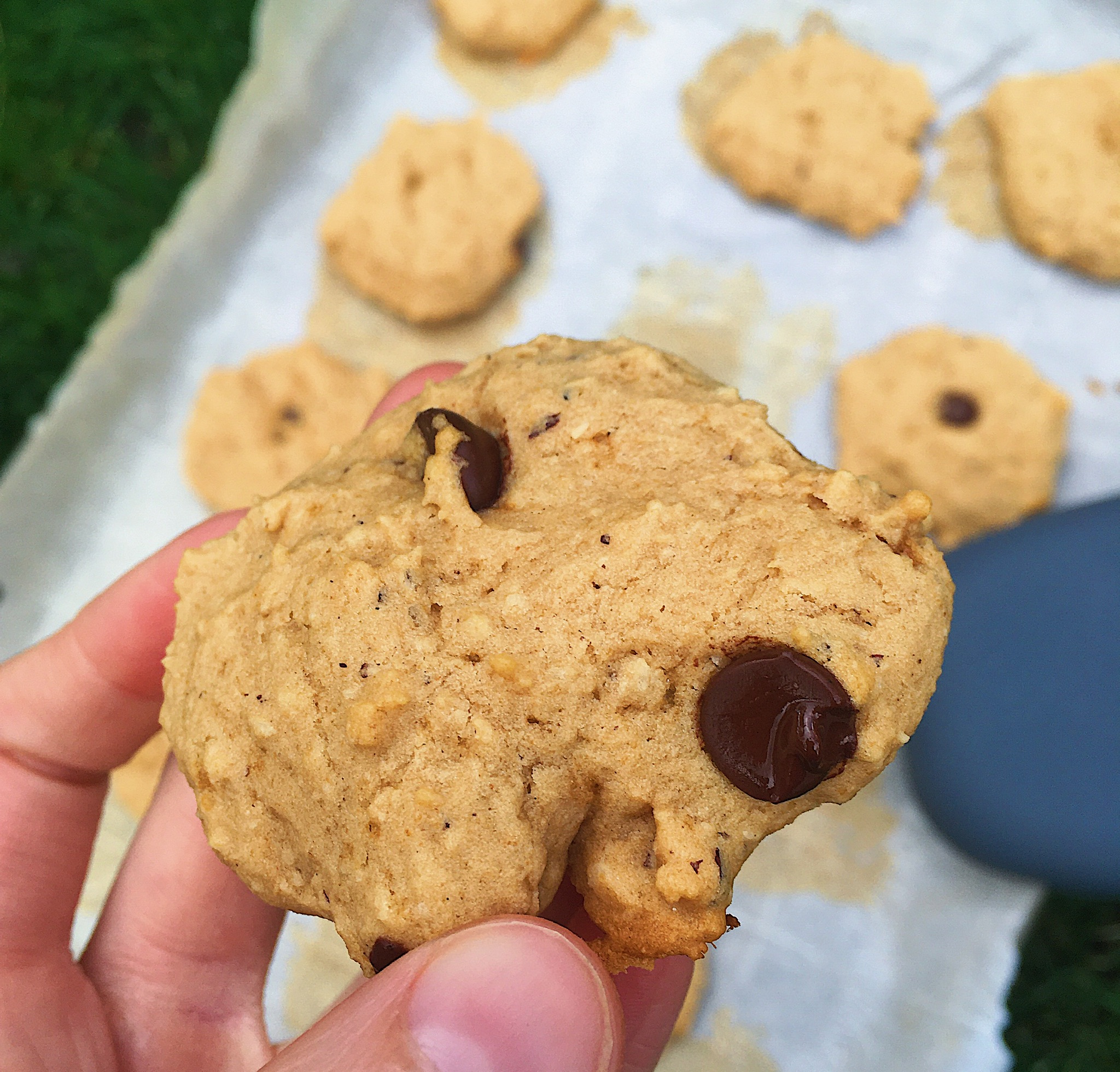 Super Easy 5Ingredient Applesauce Cookies (Gluten Free, Vegan)