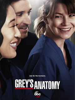Greys Anatomy Temporada 10 1080p Dual Latino/Ingles