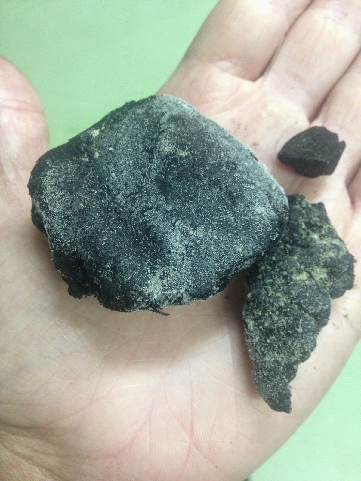 A Day in the Life of a DROPPSter