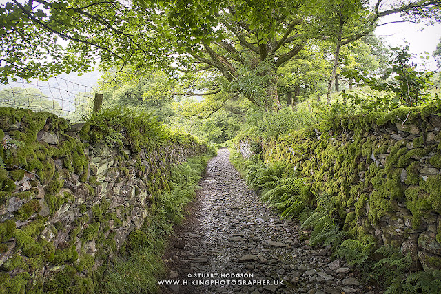 Tarn hows, best, walk, route, map, Lake District, lakes, Beatrix Potter, national trust, Glen Mary