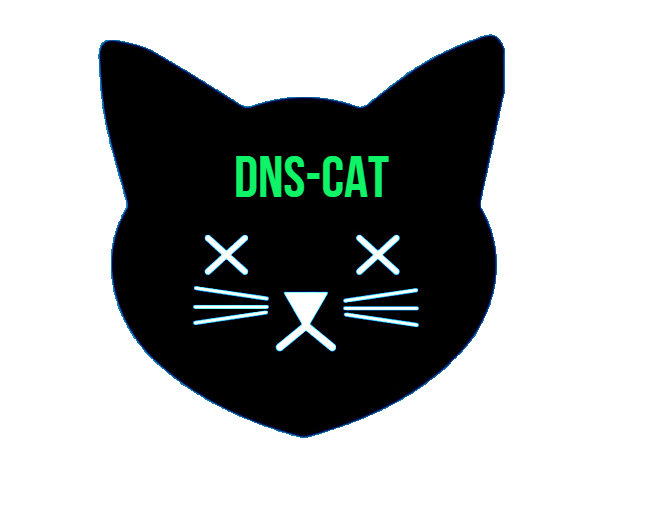 DNSBlackCat(DBC) Multi Platform Toolkit For An Interactive DNS