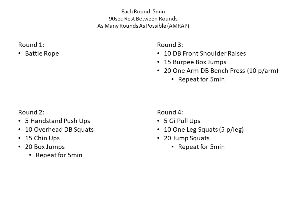 Jiu Jitsu Workout Version 2