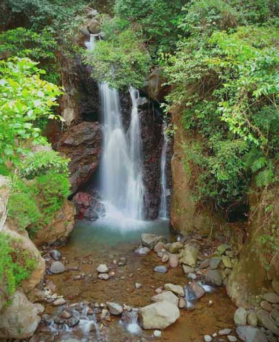 Wisata Alam Air Terjun Cipamingkis Bogor, Tiket Terbaru 2022, Daya