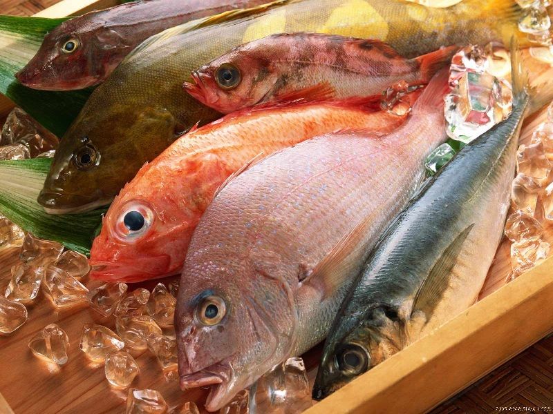 Kandungan Gizi pada Ikan Secara Umum Kandungan Gizi pada Ikan Secara Umum
