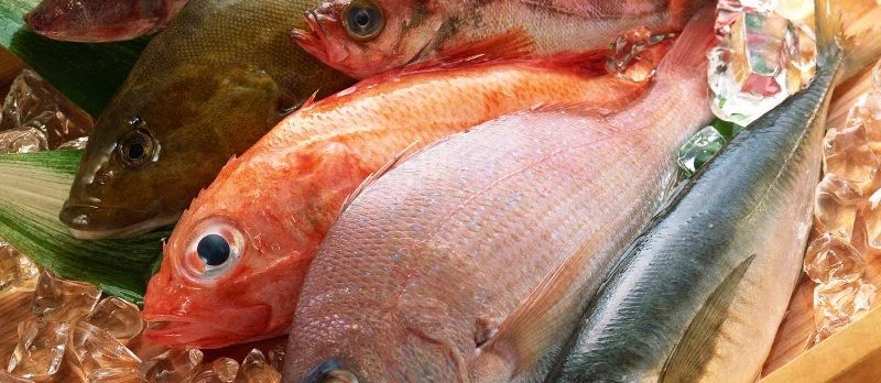 Kandungan Gizi pada Ikan Secara Umum