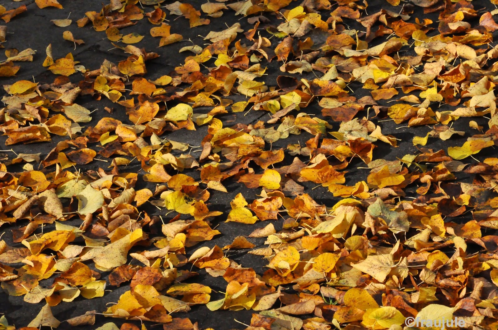 DIY- or die!: 7 Sachen # 40. 16