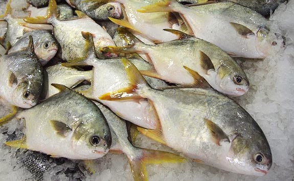 Diari Mekla Seorang WAHM: Resepi Mudah Ikan Bawal Emas Masak Masam Manis