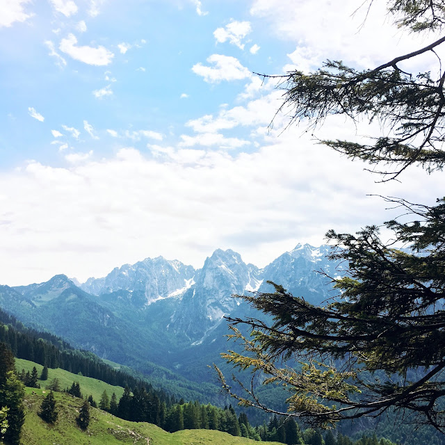 GrinseStern, Bergliebe, Ausflug Tirol, Tirol, Berg, ausflug, Ritzau alm