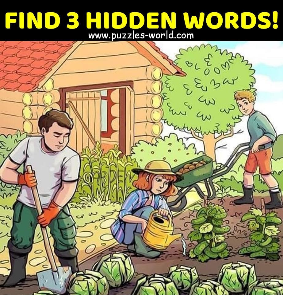 Find 3 Hidden Words Puzzles World Find 3 Hidden Words Puzzles World