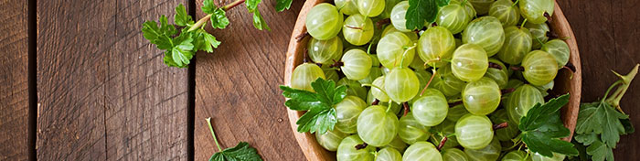 Gooseberry | Natural Remedies For Premature Gray Hair | NeoStopZone