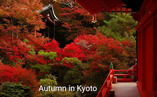 10 Autumn travel destinations in Asia