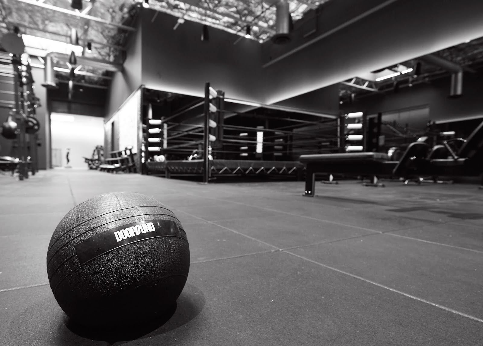 DOGPOUND WEST HOLLYWOOD ARAPC