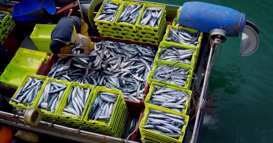 ROTTEN - 1ª TEMPORADA COMPLETA (DUBLADO/720P) – 2018/2019 FormatFactoryRotten.2018.S01E06.PL.720p.WEBRip.x264-Josu%25C3%25A9F..mkv_snapshot_11.04_%255B2020.10.18_15.45.54%255D