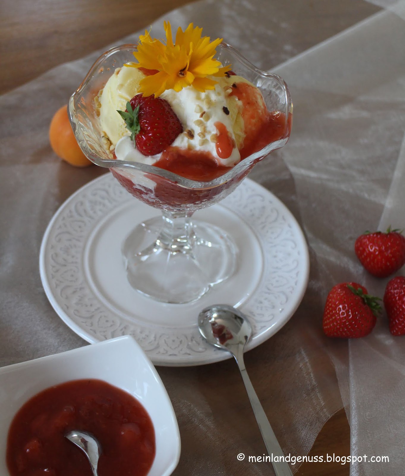 mein Land und Gartengenuss : Vanille-Eisbecher mit Erdbeer-Aprikosen-Sauce