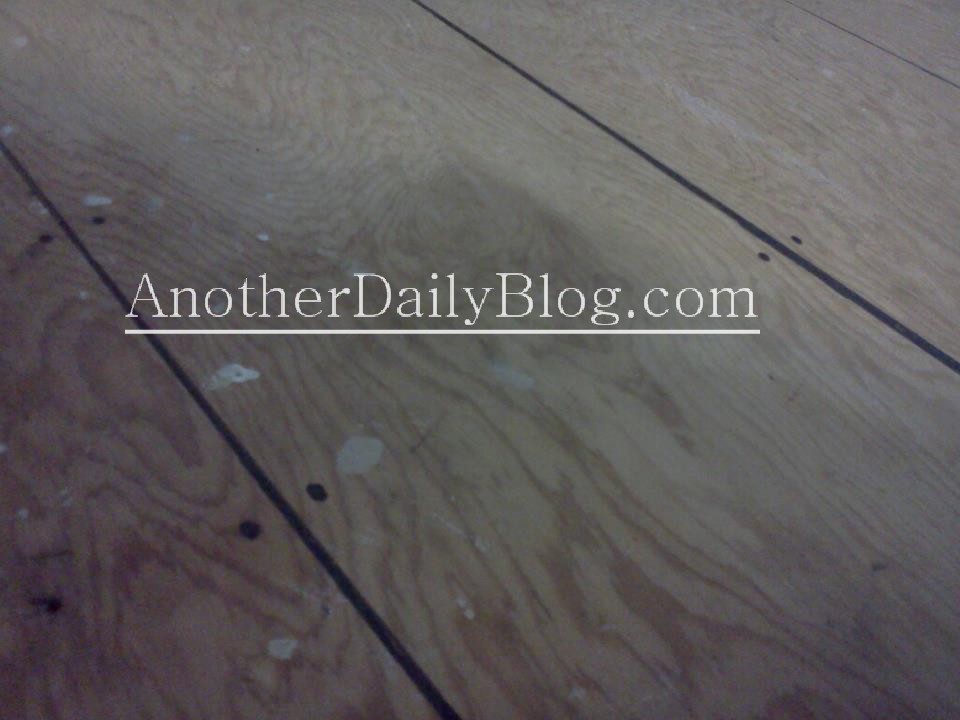 Diy How To Make Plywood Suloor Look, How To Make Plywood Look Like Hardwood Floors