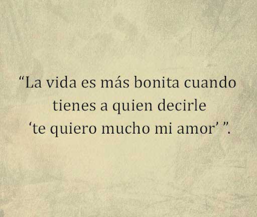 La vida es más bonita cuando tienes a quien decirle te quiero mucho mi amor