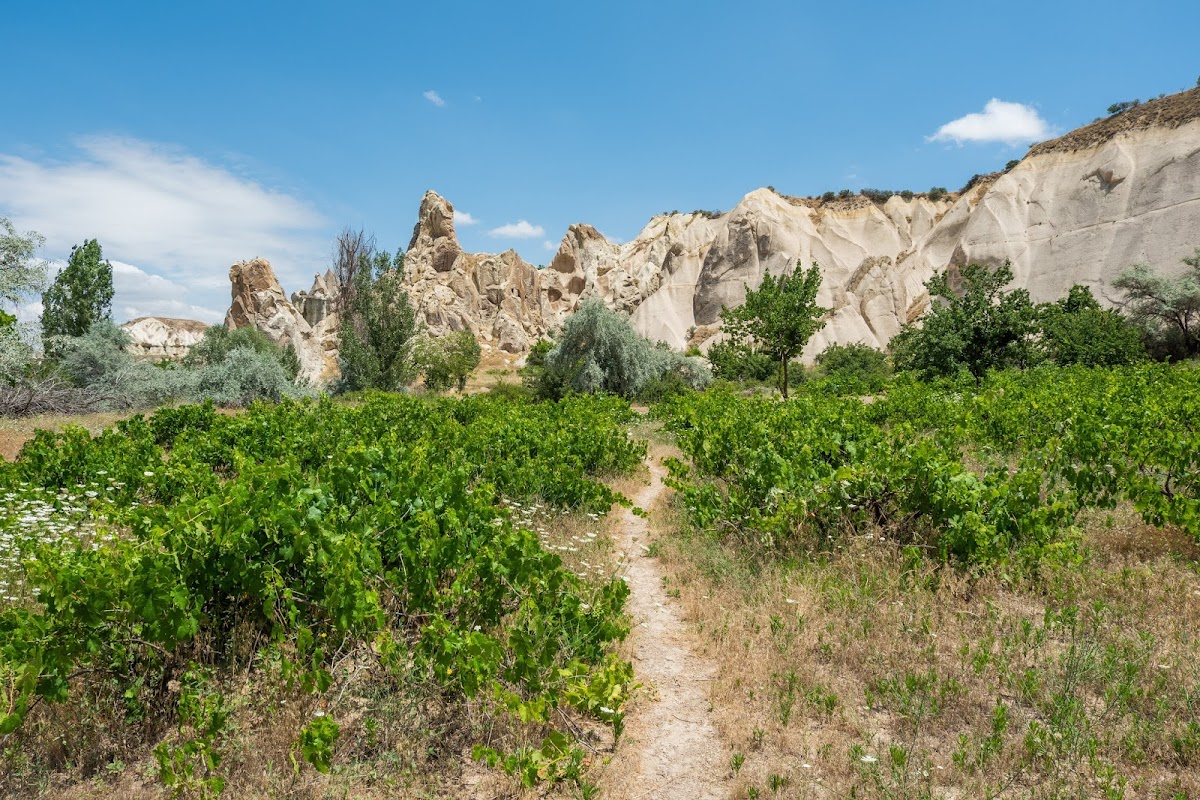 Большое путешествие по Турции автостопом 2019 Большое путешествие по Турции автостопом 2019
