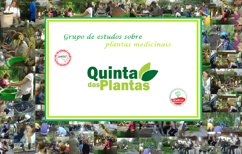Blog - Quinta das Plantas