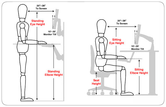 BLINDSPOT ILMU TENTANG ERGONOMI blindspot-ilmu-tentang-ergonomi