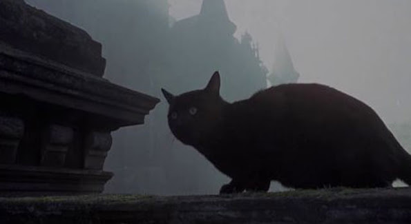 If we exonerate Scotland's witches there should be a memorial to their cats