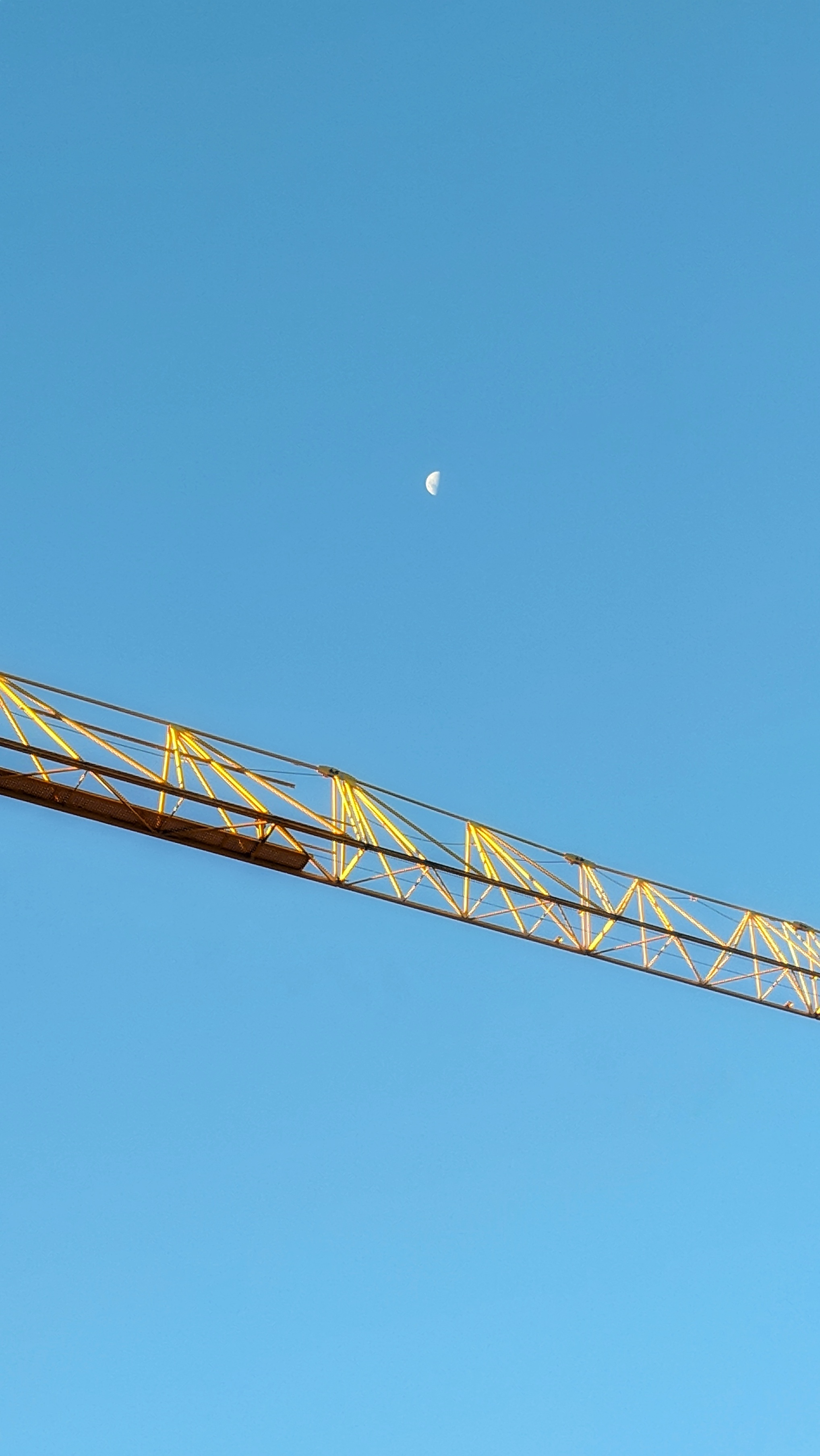 Moon and crane