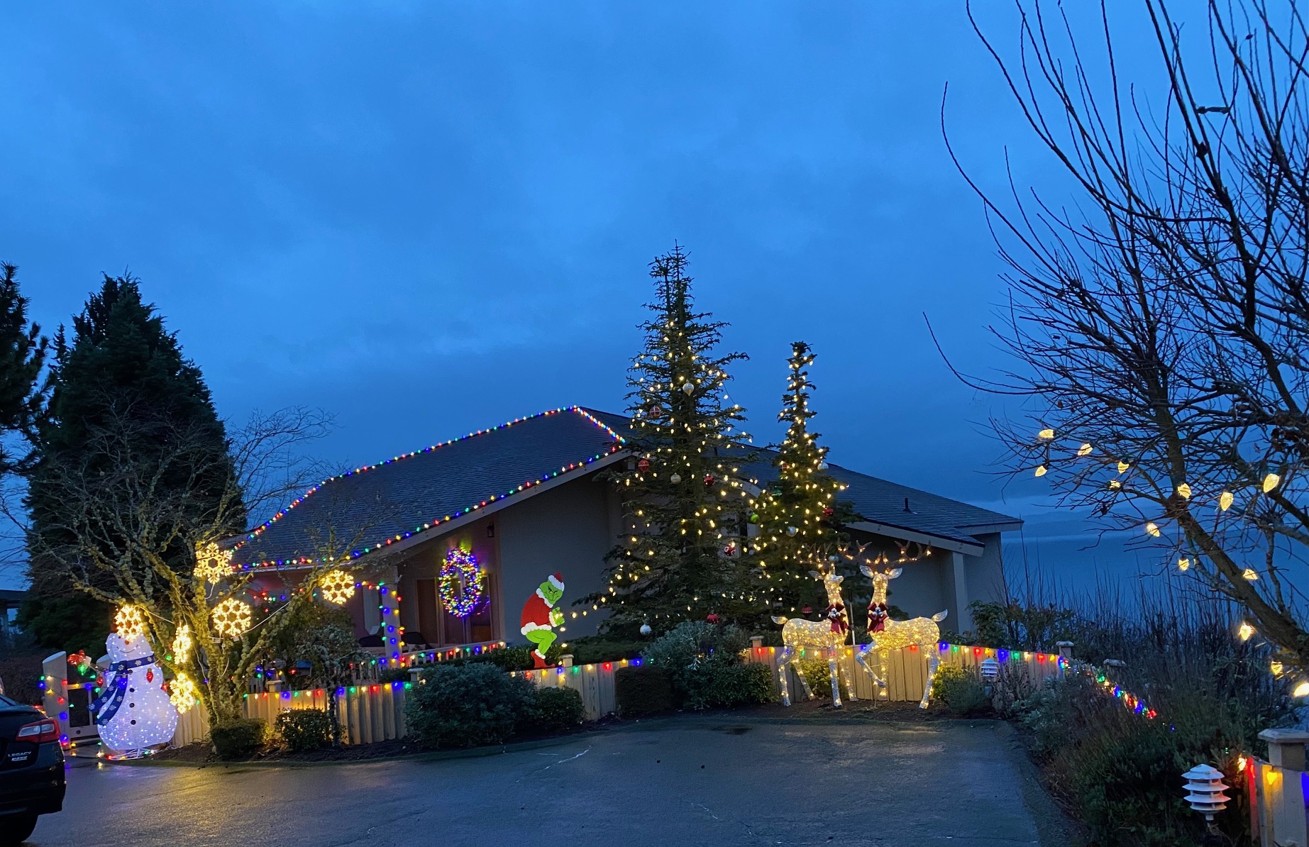 Shoreline Area News Christmas Lights in Innis Arden
