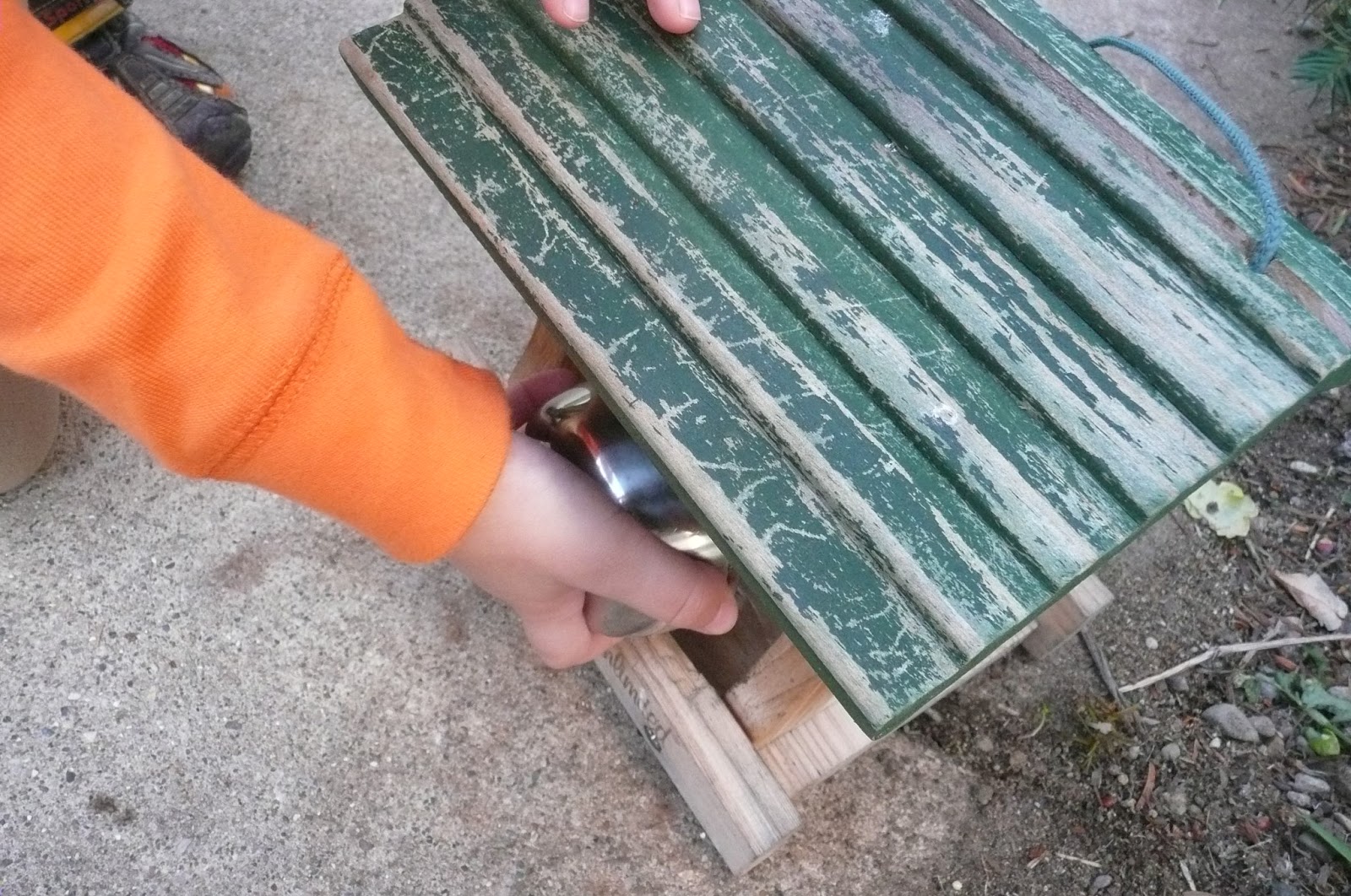 Montessori Teachings Sunflower Seed Harvesting