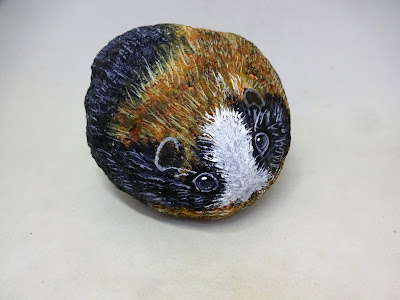 COMO PINTAR PIEDRAS CON COBAYA PASO A PASO