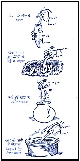 वर्मीकम्पोस्ट अथवा केंचुआ खाद वर्मीकम्पोस्ट अथवा केंचुआ खाद