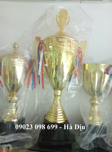Hoa, quà, đồ trang trí: Chuyên cung cấp cúp thể thao, bán cúp giải thưởng Z734851396141_47bcc77aab4f37507334524a4e7ed48d