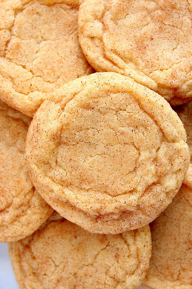 The Best Chewy Snickerdoodles Recipe MELDY FOOD