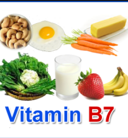 Source of Vitamin B7