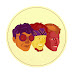 Mindwipes Groove Rock Journey