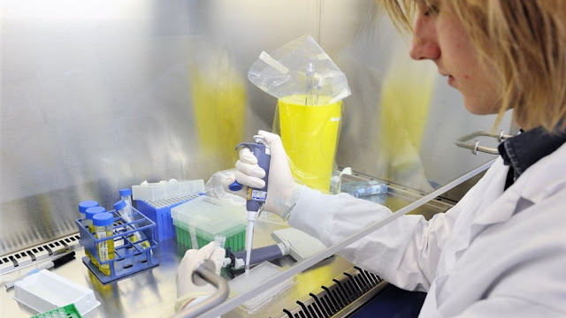 هولندا ... علماء هولنديون يعلنون اكتشافهم لجسم مضاد للفيروس كورونا 