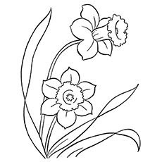 Scrapbooking Faeries: flowers,etc in black and white to color in